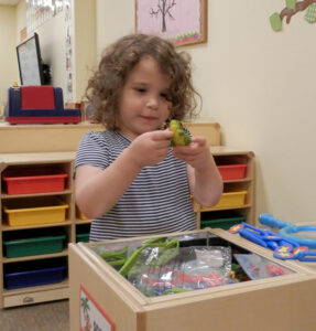 Three-year-old Gracie Wolz played in the science station in one of the new classrooms at St. Gabriel Preschool in Fern Creek. Record Photo by Ruby Thomas
