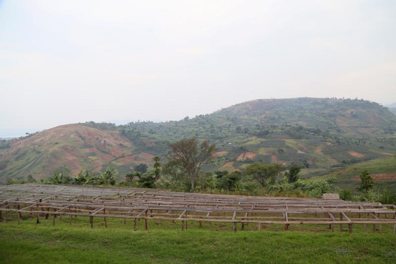 CONGO FARMLAND The Record