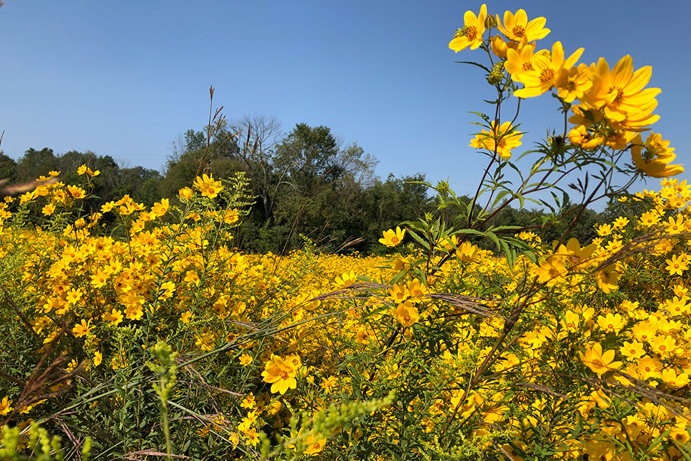 Sisters of Loretto sign historic conservation agreement The Record