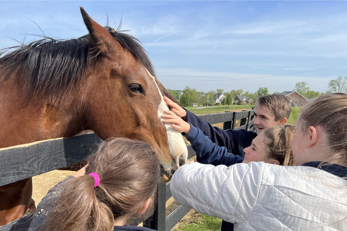 Ascension applies lessons to horses ahead of the big race The Record
