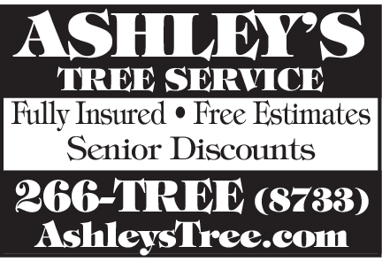 ZaaASHLEYS TREE1x1